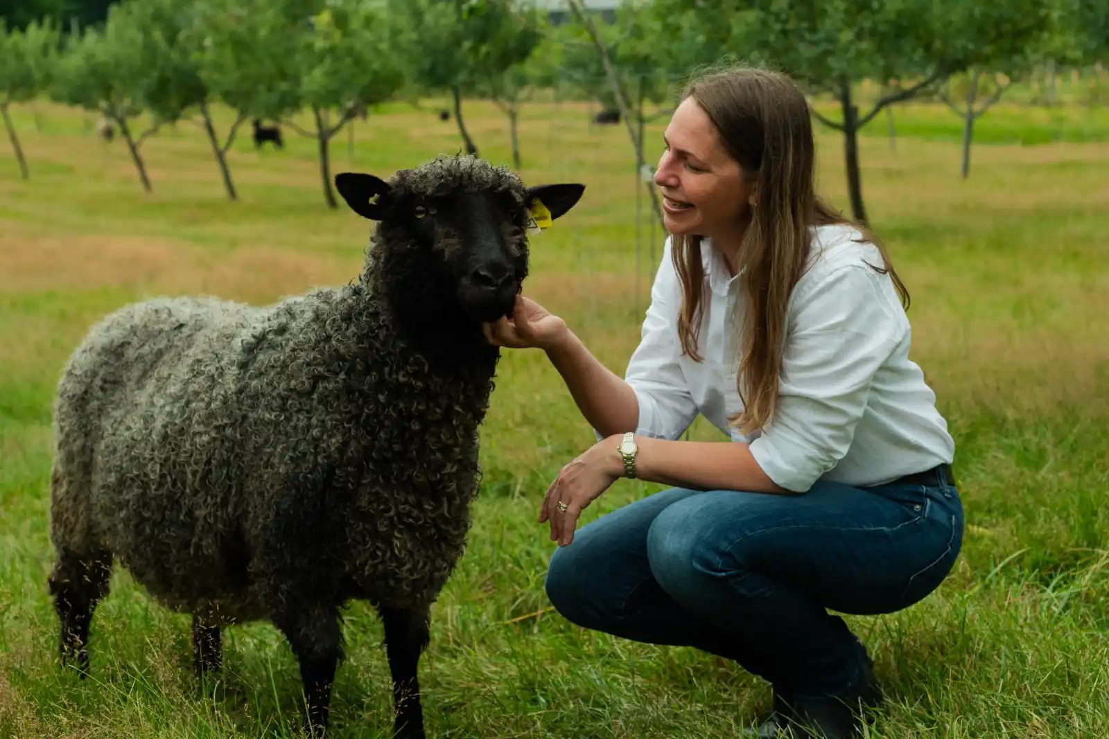 Becky on a farm in the Annapolis Valley with a sheep